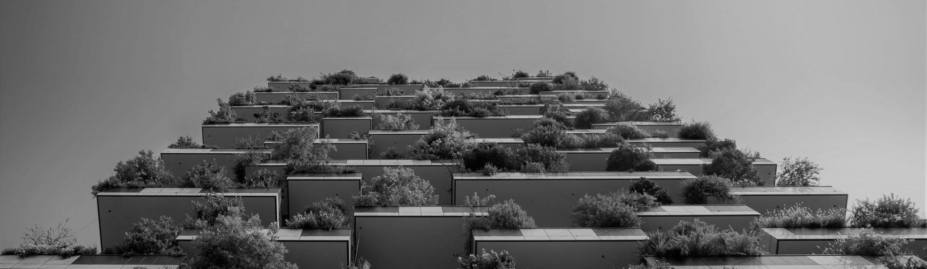 Servizio d’eccellenza